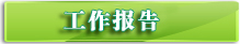 工作报告